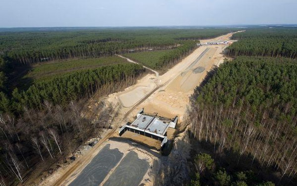 Budowa A2 na odcinku Świecko - Rzepin