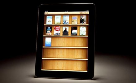 Wydawcy tracą na piractwie 250 mln zł z e-booków