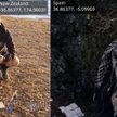 Kanapka z Ziemi. Pieczywo po dwóch stronach planety