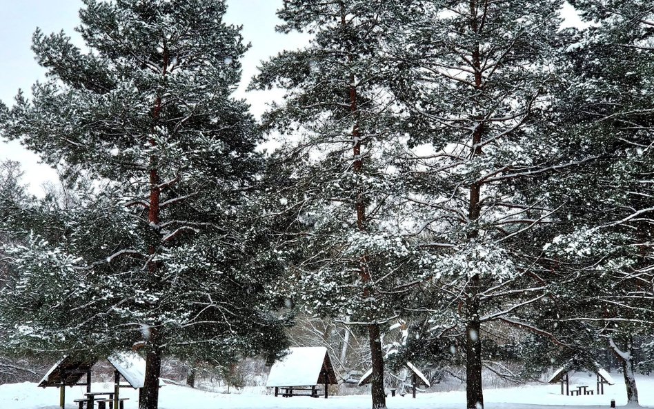 Jedna osoba zmarła, druga trafiła do szpitala w stanie skrajnego wychłodzenia. Tragiczny rezultat za