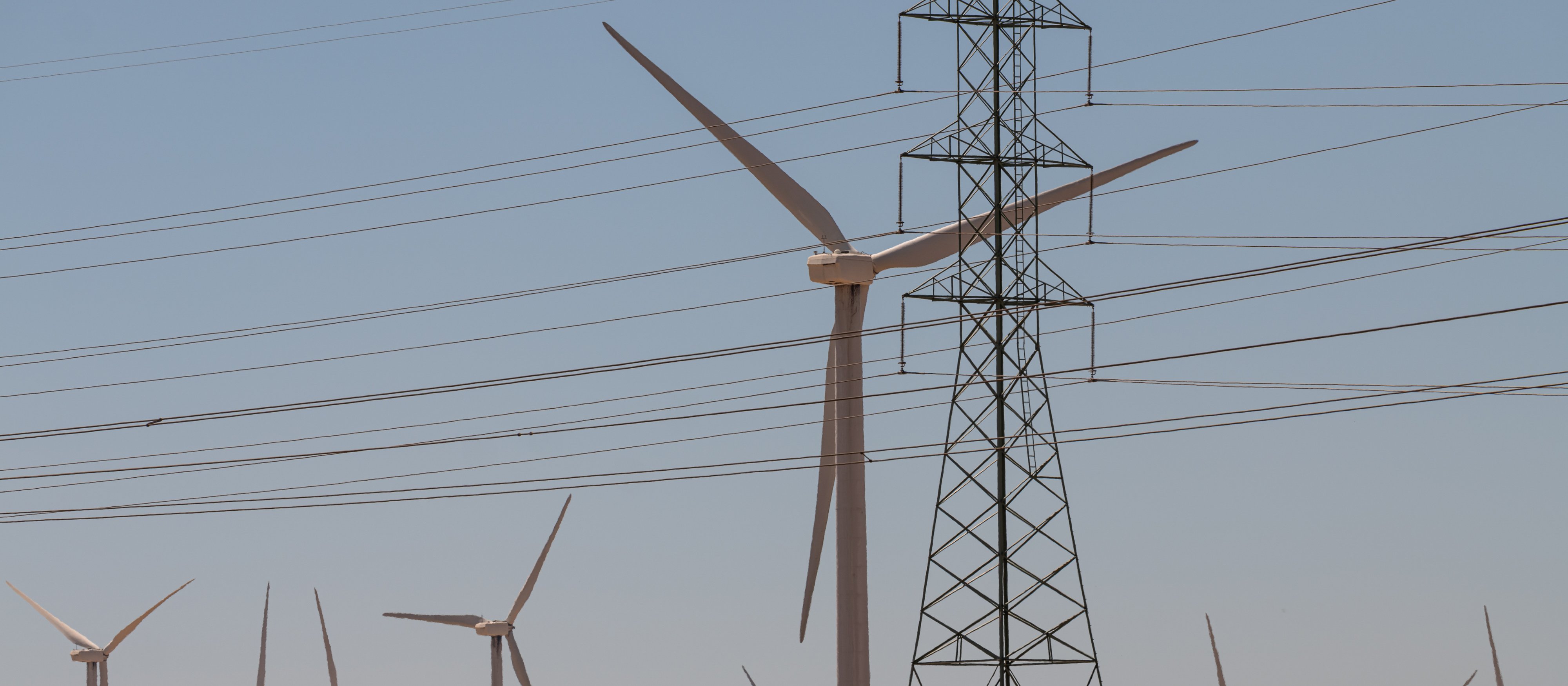 Wiatr i słońce na cenzurowanym. Trump kontra OZE