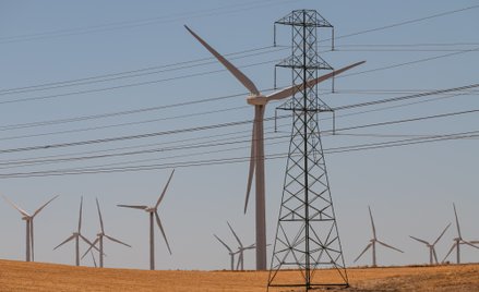 Wiatr i słońce na cenzurowanym. Trump kontra OZE