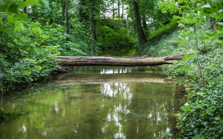 Zakochanym nawet komary nie straszne