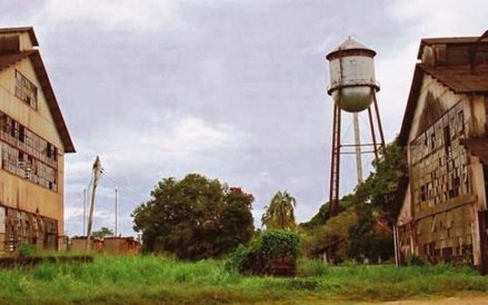 Współczesny obraz pozostałości po ambitnej utopii Forda. Dziś w tym rejonie nikt już nie uprawia drz