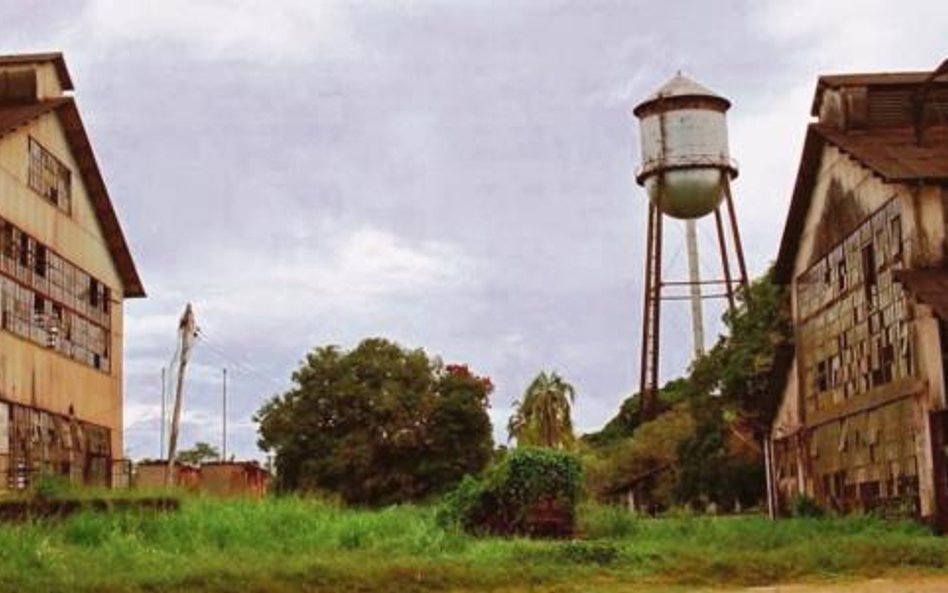 Współczesny obraz pozostałości po ambitnej utopii Forda. Dziś w tym rejonie nikt już nie uprawia drz