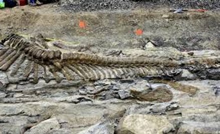 Naukowcy odkryli szczątki nieznanego "gadatliwego" dinozaura