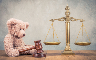 Masłowska: Przyjazne warunki w sądach jeszcze nie dla dzieci