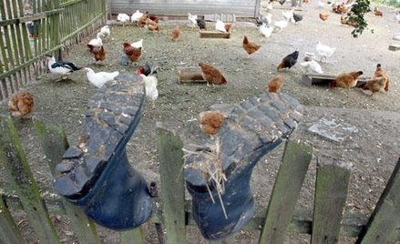 Czy sąsiedzi zasiedzieli ziemię