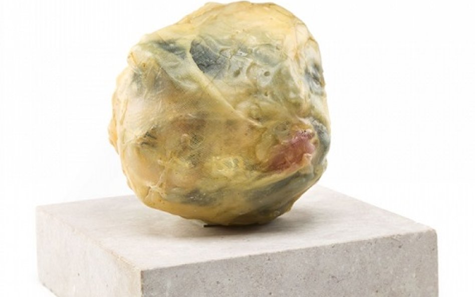 Alina Szapocznikow, Pamiątka