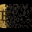 Chcesz być „certyfikowanym ekspertem kryptowalutowym”? Wystarczy 11 godzin i 229 dolarów