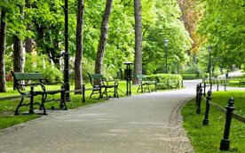 Zarząd Zieleni m.st. Warszawy szuka pracowników / zdjęcie ilustracyjne