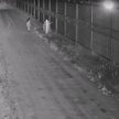 Działania na granicy polsko-białoruskiej