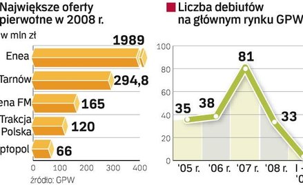 Dwadzieścia nowych firm. Co najmniej tylu debiutów na głównym rynku w Warszawie w obecnym roku spodz