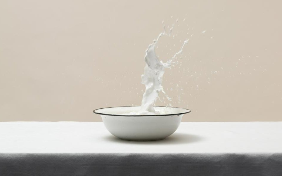 Martwe natury/Big Splash