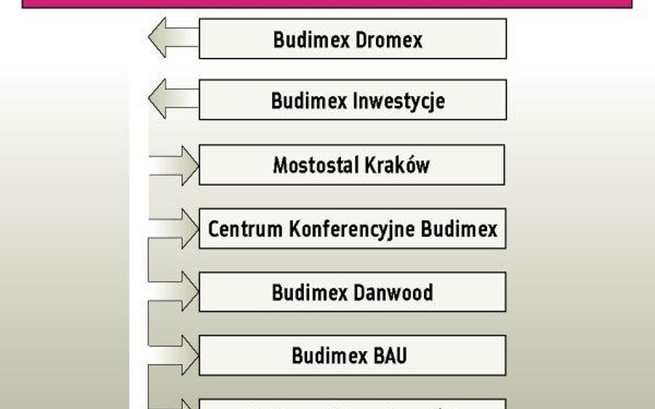 Konsolidacja dobrym lekarstwem na kryzys?