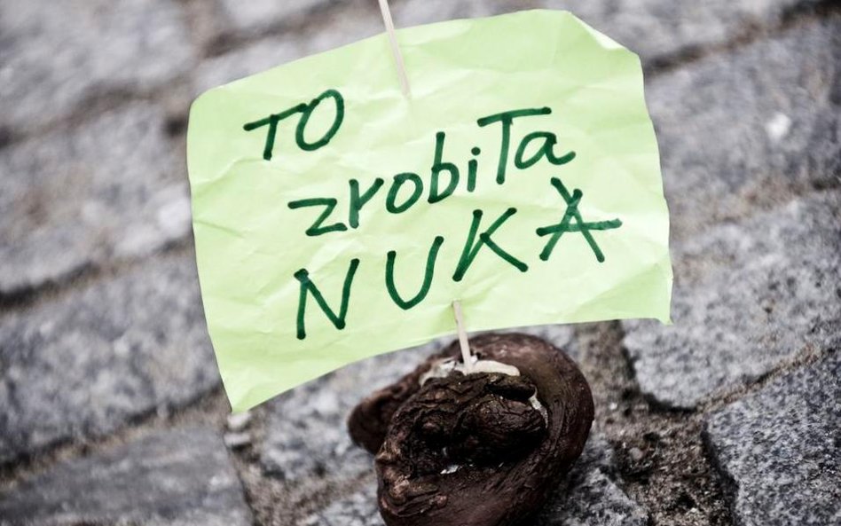 Kupa wstydu z chorągiewką