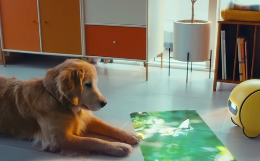 Ballie to inteligentna robokula, którą Samsung pokazał  na CES. Bot asystent ma wbudowany projektor 