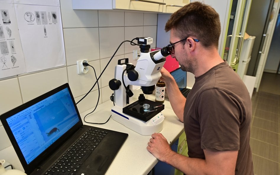 Dr hab. Łukasz Sługocki w laboratorium