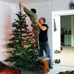 Święta pod darowanym dachem