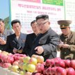 Amerykańscy dziennikarze twierdzą, że część pensji pracujących w Polsce Koreańczyków trafia do półno