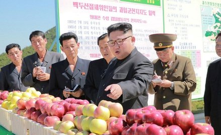 Amerykańscy dziennikarze twierdzą, że część pensji pracujących w Polsce Koreańczyków trafia do półno