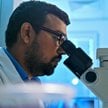Komórki płazińców mogą stać się inspiracją do opracowania nowych metod leczenia