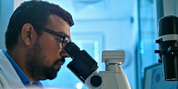 Stanford odkrył komórki odpornościowe "ruptoblasty", które eksplodują i niszczą bakterie