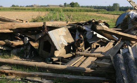 Dla ofiar wichury