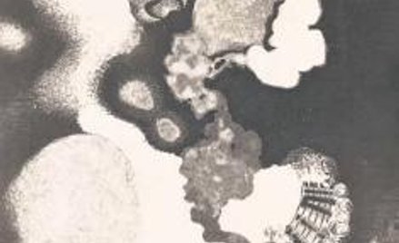 Fotografia Karola Hillera ma rekordową cenę.