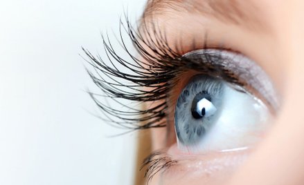 W oku mechanizm podobny do żaluzji słonecznych