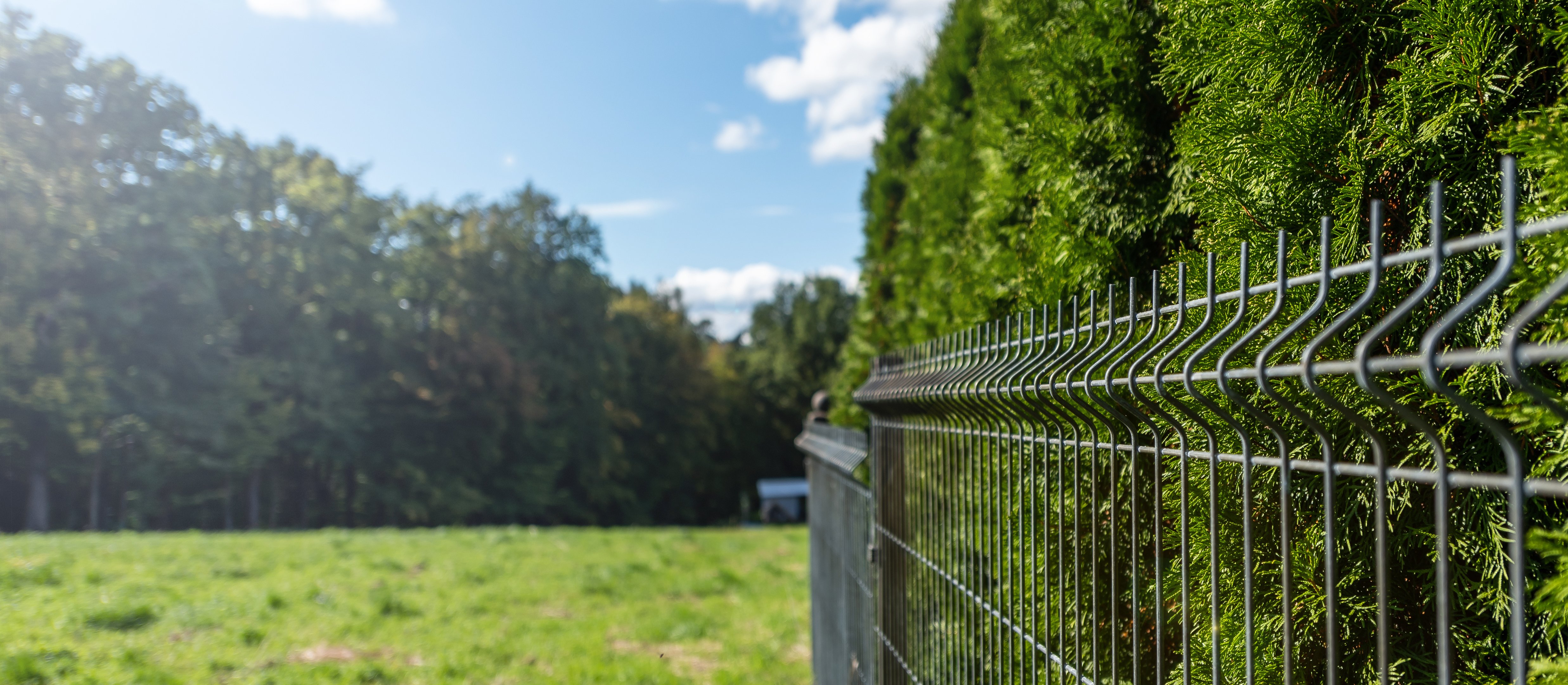 Chcesz zasiedzieć działkę wyraźnie pokazuj, iż jest twoja
