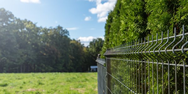 Ziemia może być dobrą inwestycją. Ale nie wszystko złoto, co się świeci