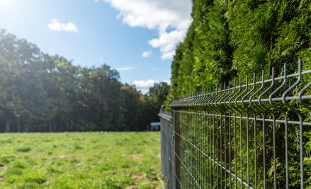 Czy ogrodzenia i płoty są opodatkowanymi budowlami?