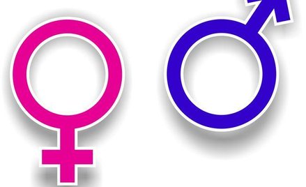 Stereotypy płciowe najsilniej zakodowane w pracy