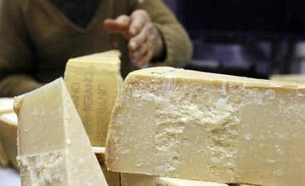 Olbrzymie straty producentów parmezanu