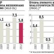 NBP chce zwiększyć dochodowość rezerw