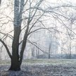W najbliższych dniach spodziewać należy się przymrozków i mgieł
