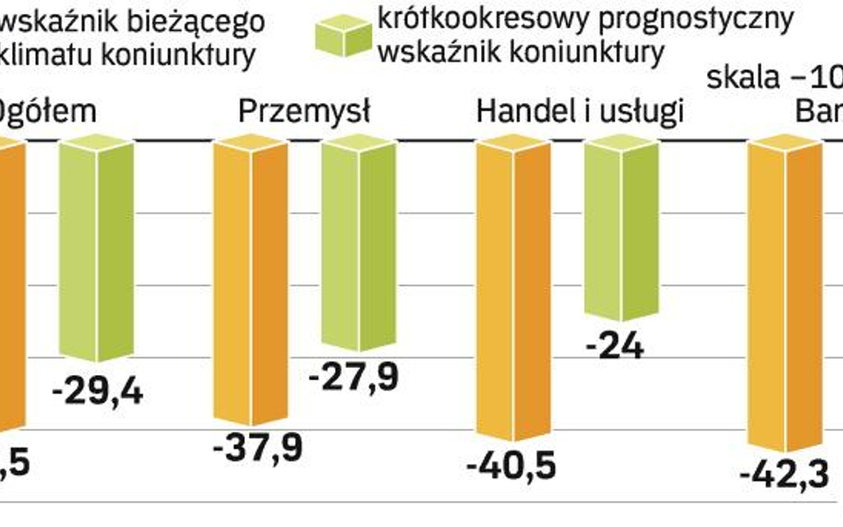 Wskaźniki koniunktury w lutym