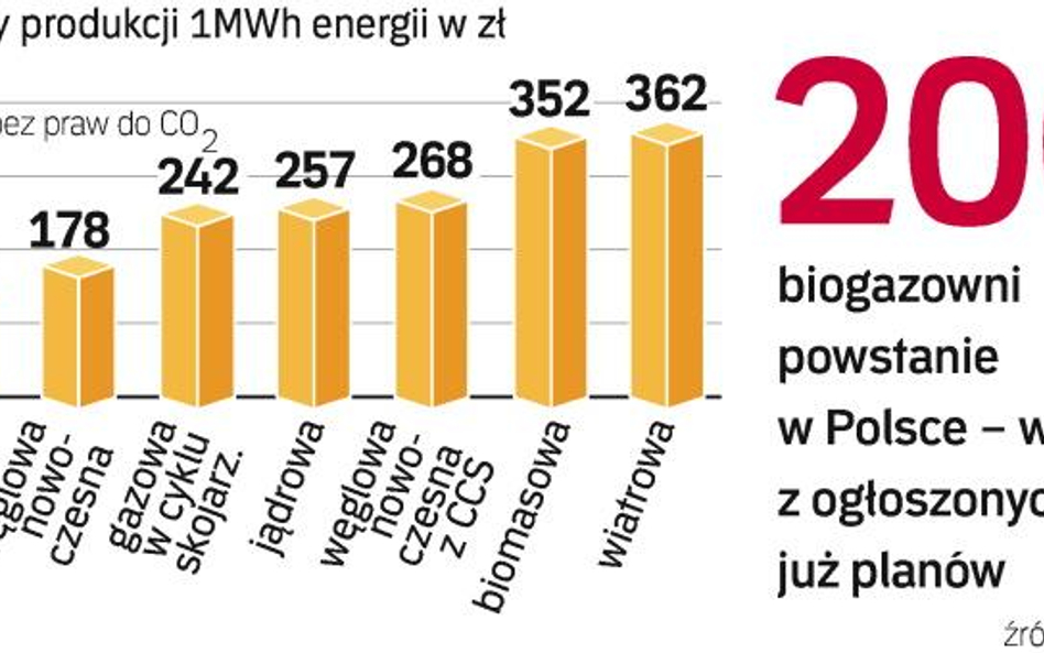 Źródła odnawialne korzystają z zielonych certyfikatów. Ich sprzedaż zapewnia, że inwestycja przynosi