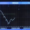 Faworyci z WIG20 na ten rok