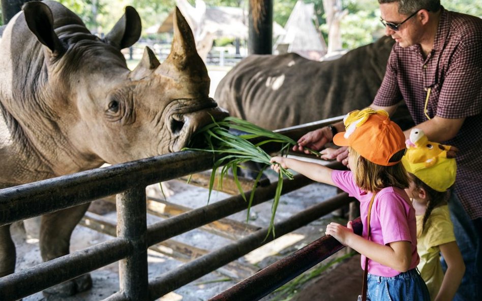 Anglia luzuje obostrzenia. Otworzy sklepy, zoo i parki safari