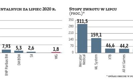 Eksperci po lipcowym sukcesie znów stawiają na małe spółki
