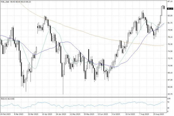 Notowania ropy naftowej WTI – dane dzienne