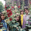 George Harrison, John Lennon, Ringo Starr i Paul McCartney podczas jednej z ostatnich sesji zdjęciow