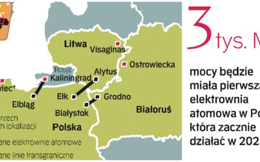 Nie tylko Polska ma plan elektrowni atomowej