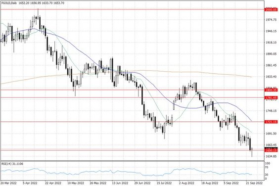 Notowania złota – dane dzienne