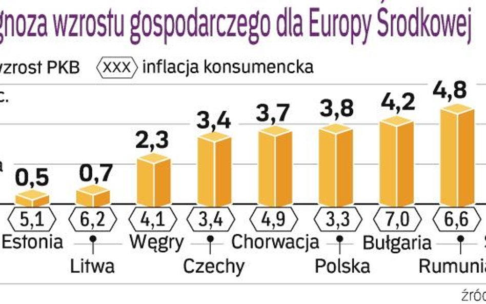 Prognoza wzrostu Gospodarczego w 2009 R. 3,8-proc. wzrost PKB w Polsce Christoph Rozenberg, dyrektor