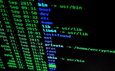 Czy karać etycznych hakerów?