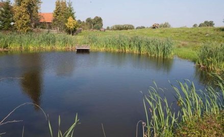 Jeszcze w 1992 r. za 1 ha państwowych gruntów płacono średnio tylko 500 zł. Za to 10 lat później za 