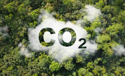 CBAM w praktyce – obowiązki raportowe i wpływ na łańcuchy dostaw